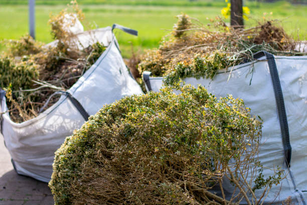 Trusted Shoreacres, TX Junk Removal Experts